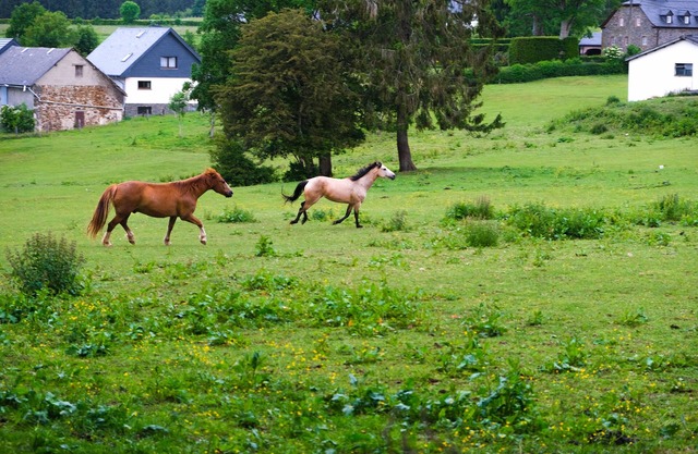Beautifully renovated farmhouse of 1872