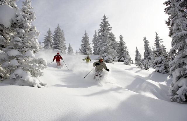 Beaver Creek Charter 1 Bed