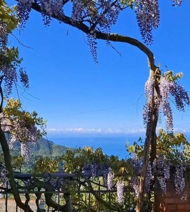 Bed&Breakfast Bella Vita