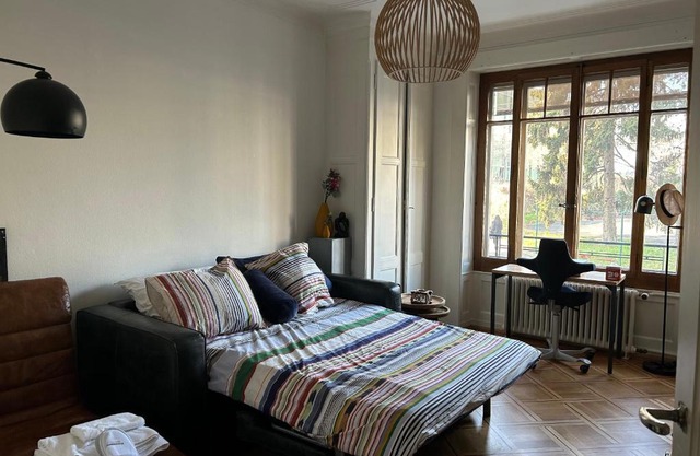 Bedroom & Kitchen - Perle du Lac, Geneva