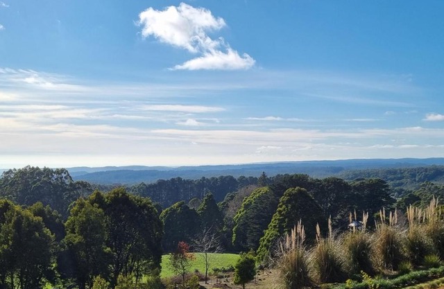 Beech Forest Cottage (Cozy Otways Accommodation)