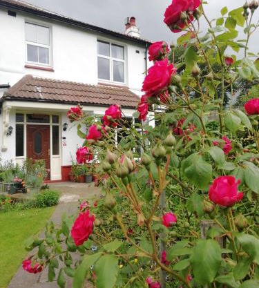 Beechlands B & B