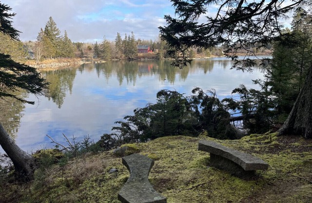 Beeline Farm on Carver's Cove