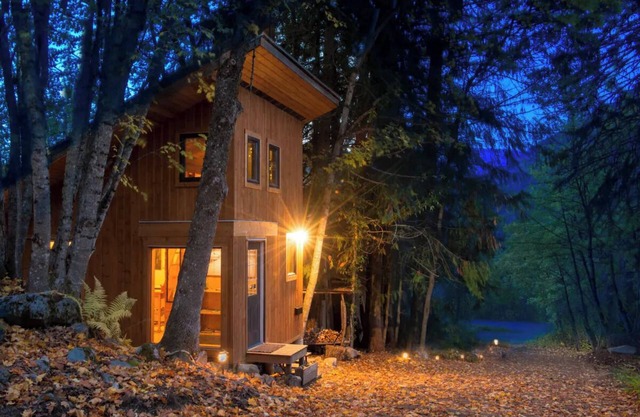 Bees Knees in the Trees Tiny Home - Hot Tub & Sauna