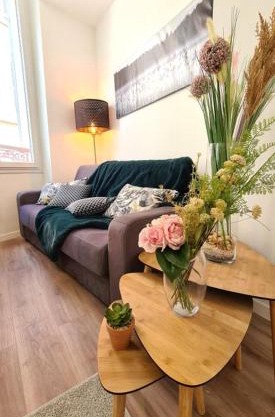 Bel appartement Type T3 climatisé