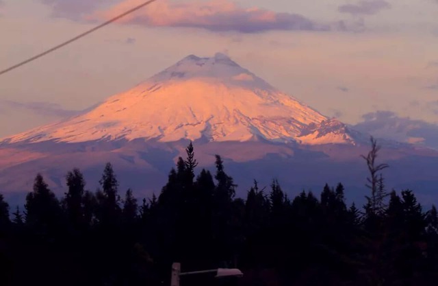 Bella Vista - una hermosa granja cerca de Cotopaxi