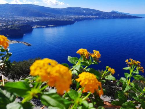 Bella Vista House-Sorrento coast - free parking-solarium