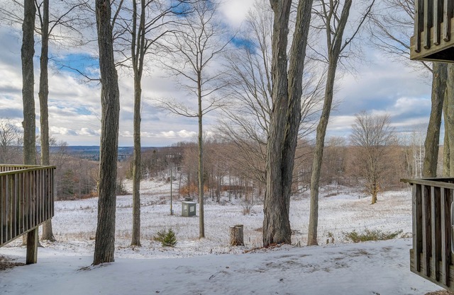 Bellaire Condo - Walk to Shanty Creek Resort!