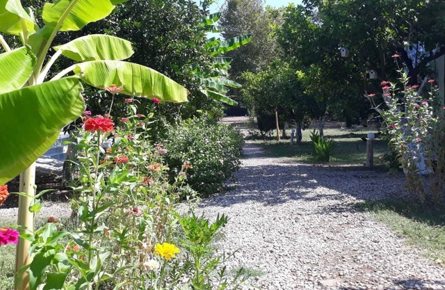Bellerofon Camping