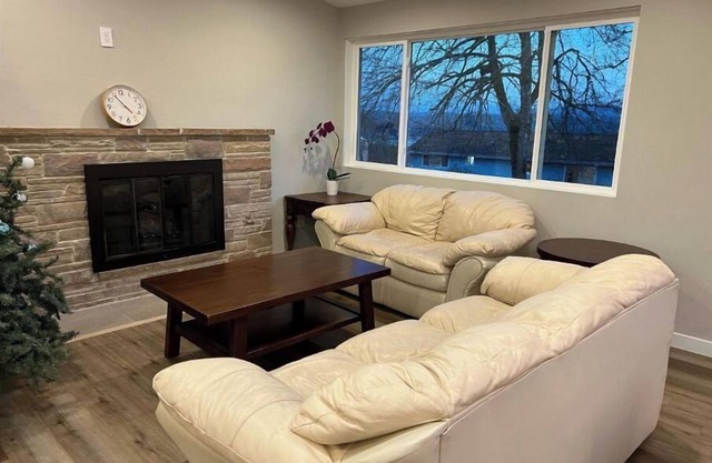 Bellevue brand new View house
