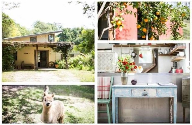 Bellingen Vintage Farm Stay: WeilHouse Living