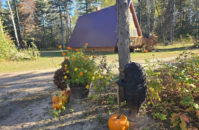 Beltrami Bungalow-Fun Up North 22 miles from Warroad MN 26 miles from Roseau MN.