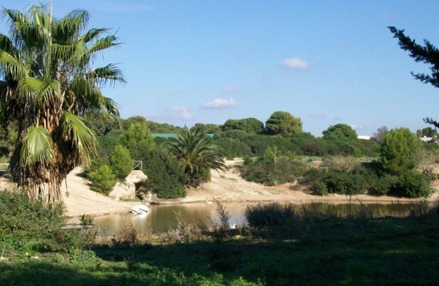 Apartamento Belvedere
