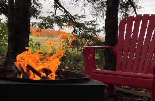 Belwood Bunkie Escape & Spa minutes away from Elora