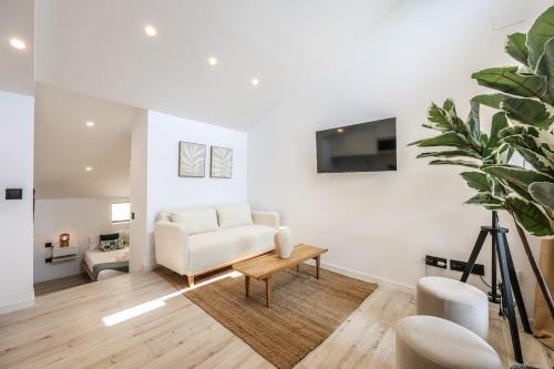 Bernabeu Roof Apartment in Madrid