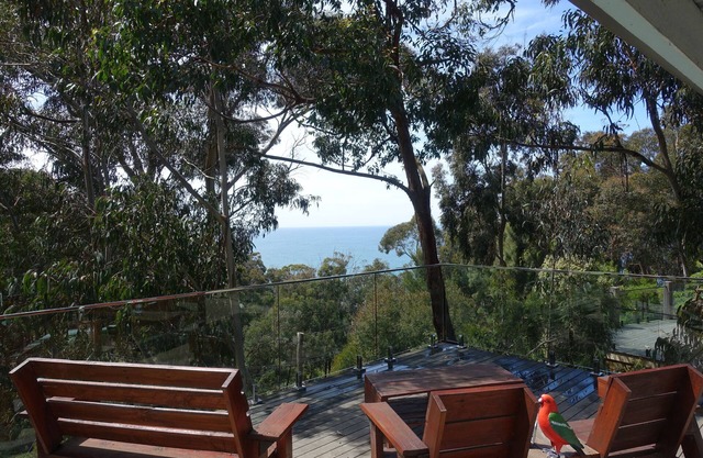 Bespoke house in the trees with ocean views.