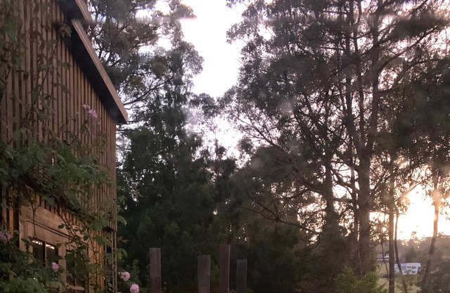 Bespoke riverfront cottage nestled amongst the trees.