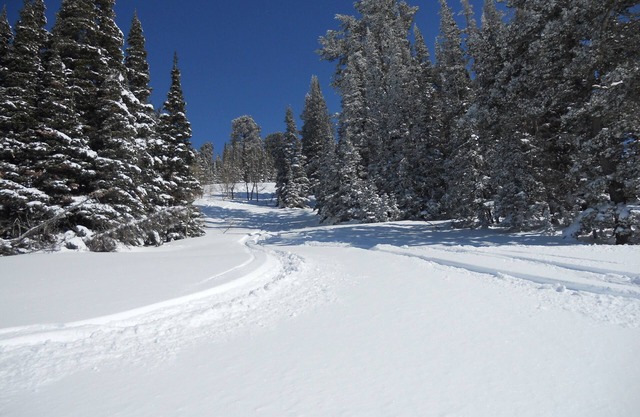 ¡¡Mejor trato!! 2BR / 2BA Ski-in / out en Powder Mountain - Alojamiento raro en ladera