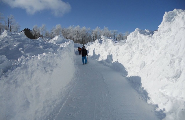 Ski-N / Out en Powder Mountain
