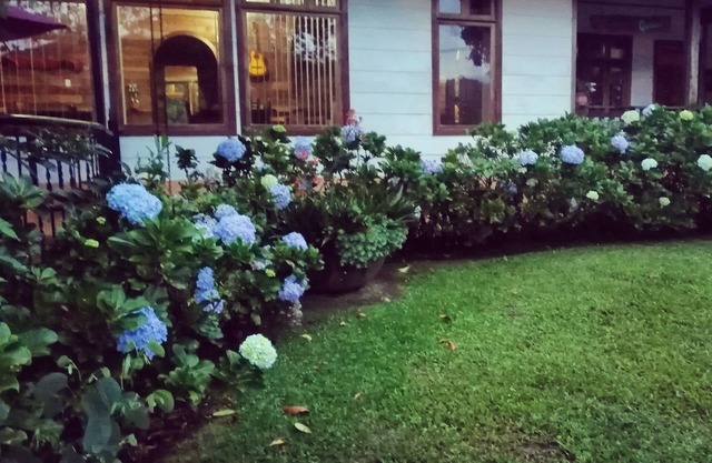 La mejor experiencia de inmersión en una granja en Finca Queveri