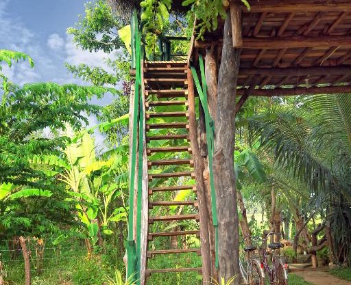Best Lake View tree house