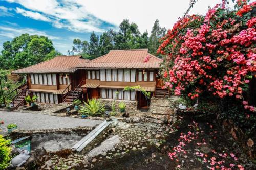 Bethal varkis munnar, chinnakanal