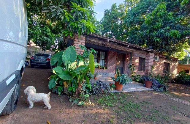 Entre Mangos y Tucanes, casa en el corazón de las yungas