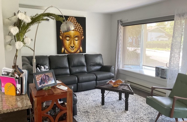 Between Montreal and Tremblant, complete home close to 3 services.