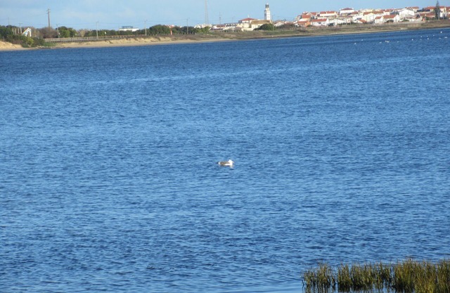 Entre el campo, la playa y la ciudad.