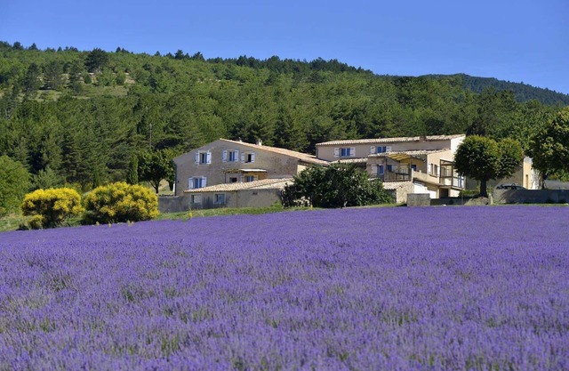 Entre Ventoux y Luberon ***