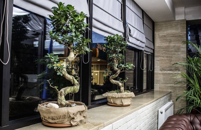 BG Palace Hotel