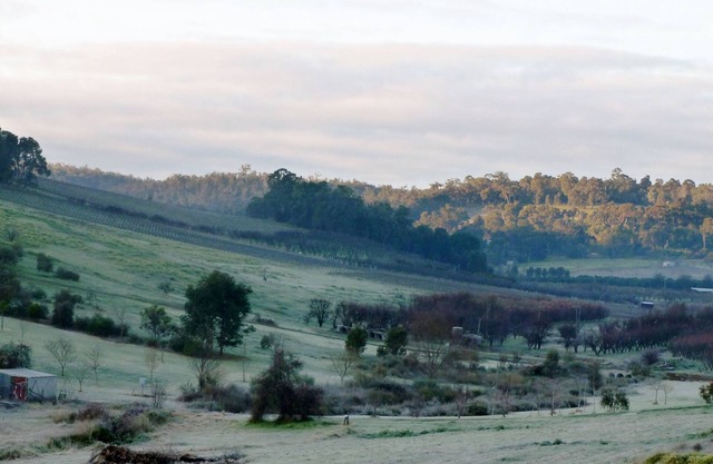 Bickley Valley Cottage