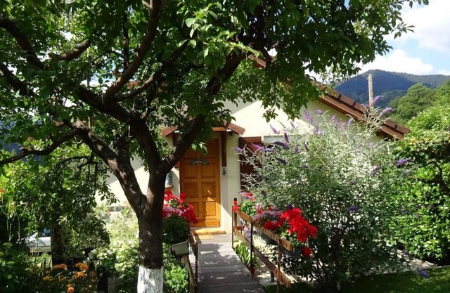 Bienvenue dans le charmant petit chalet du bel'air