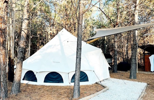 🐻 Big Bear Glamping | Spacious Forest Retreat 🌲🔥 Sleeps 8