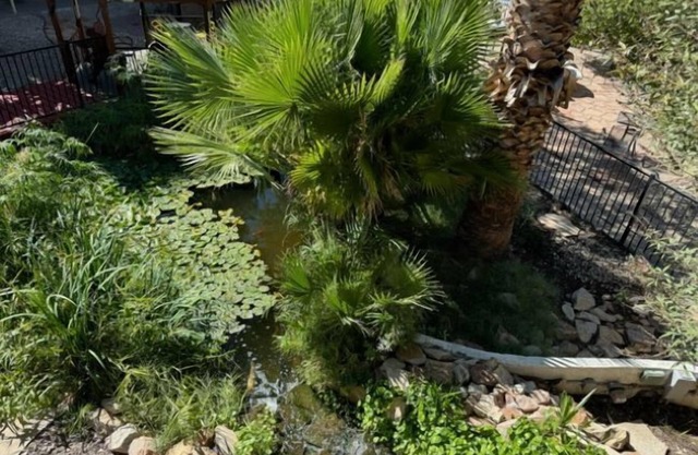 Big Chile Inn & Suites