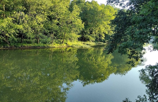 Big Darby Creek Cottage, Water Front