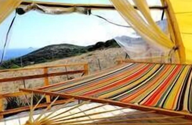 BIG SAFARI TENT .