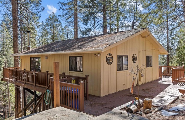 Big Trees, Little Cabin