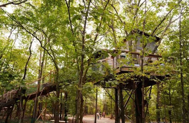 BIGFOOT’S ENCHANTING TREEHOUSE