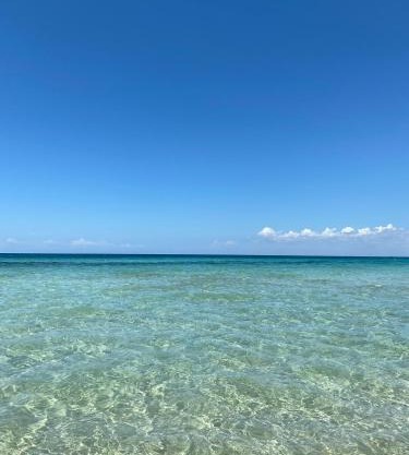 Bilocale sul mare