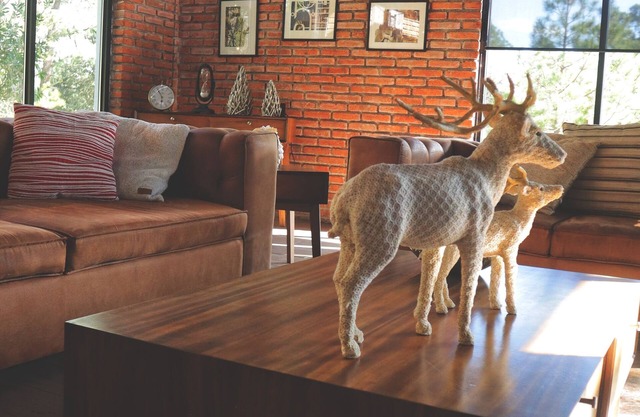 Casa de campo BIMBA, corazón del bosque, Huasca