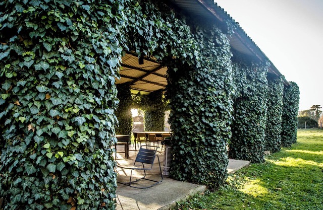 Bio Tenuta di Paganico - I Roggeti