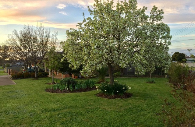 Bird Abode Accommodation in central Maryborough