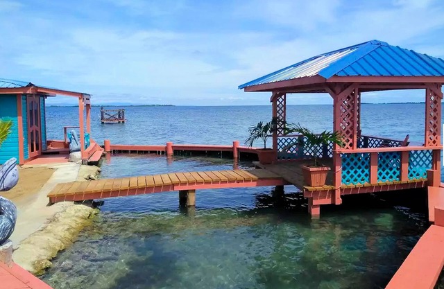 Bird Island Placencia