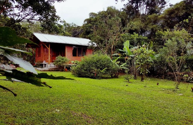 Bird Lover's House
