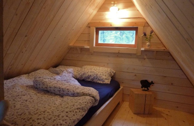 Birdhouse/ Off-the-grid Cabin, Marsh Lake, YT