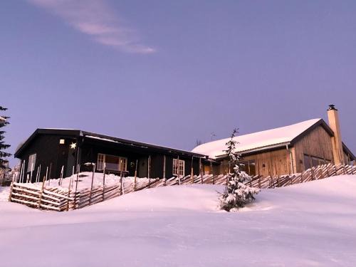 Birkenstua