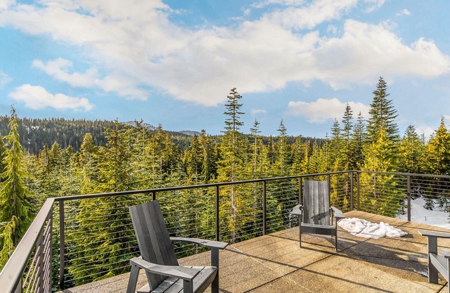 Black Arrow Chalet on Mt Washington. Pet Friendly