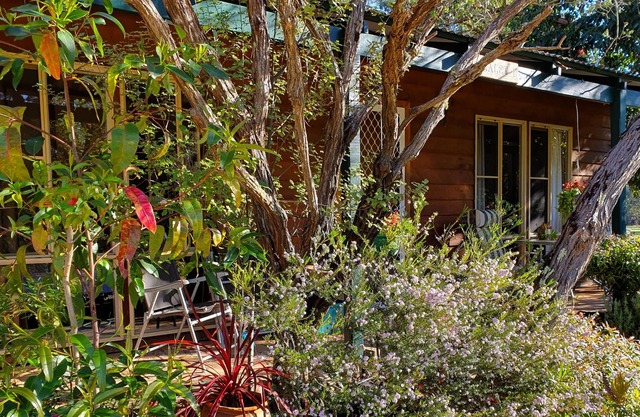 Blackwood Banks Chalets, Nannup - Chalet 1 - By the river ..... in the forest
