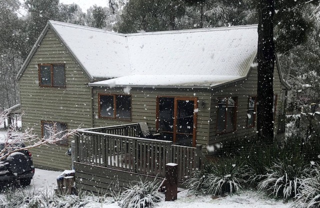 Blackwood Chalet - Base of Buller